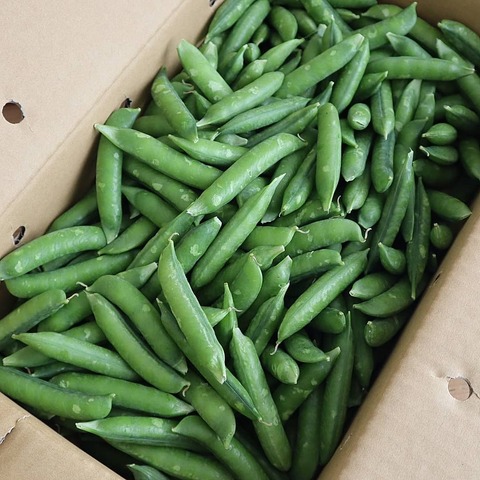 IMG_20200225_153725_393