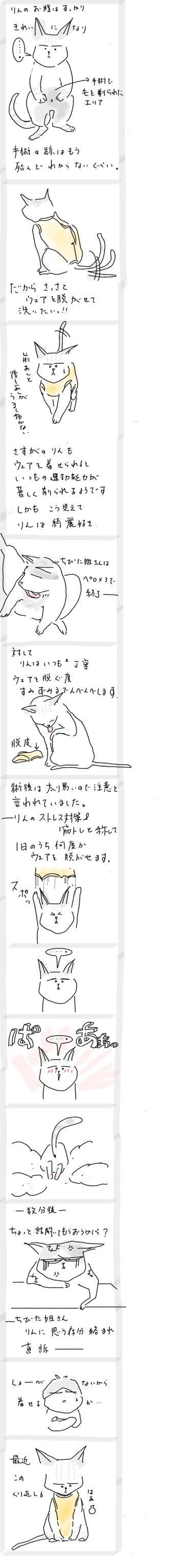 052DDC52-0318-45CF-B8F6-BD6BE289EE2A