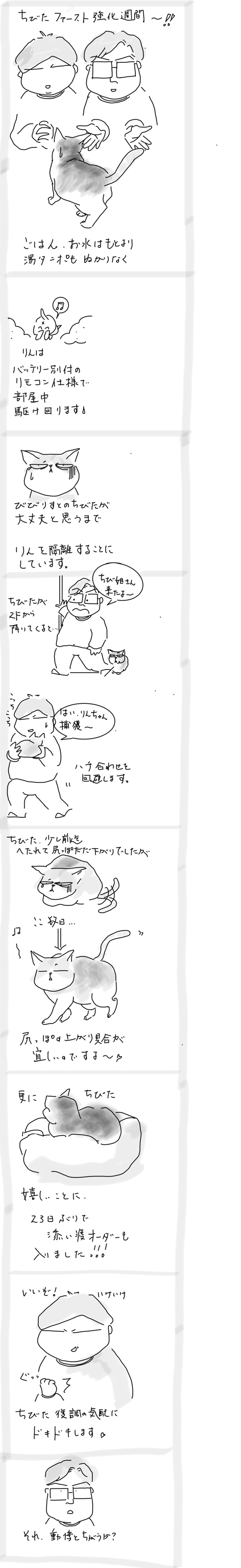 80FFA9EE-6F6D-41BF-8C7A-6C2DB6B2150D