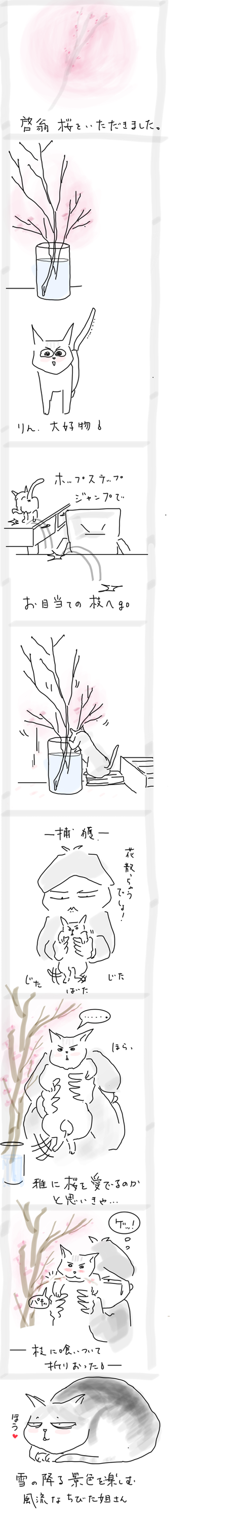 5E4630F0-058E-45CB-ACA3-B1F963D41707