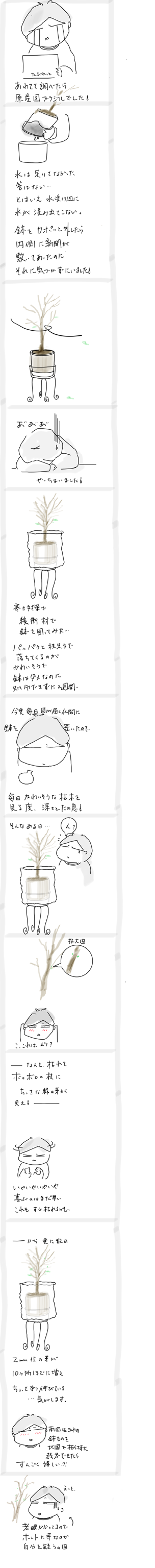 32E3D372-8E3D-4381-BAFA-E407695D906F