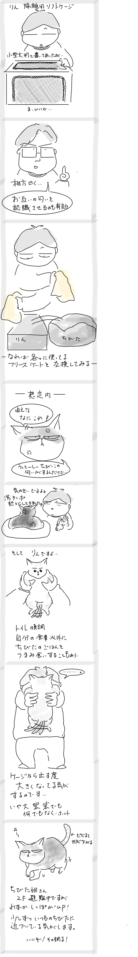 A5C60E91-350E-4691-BA48-300CE42026AE