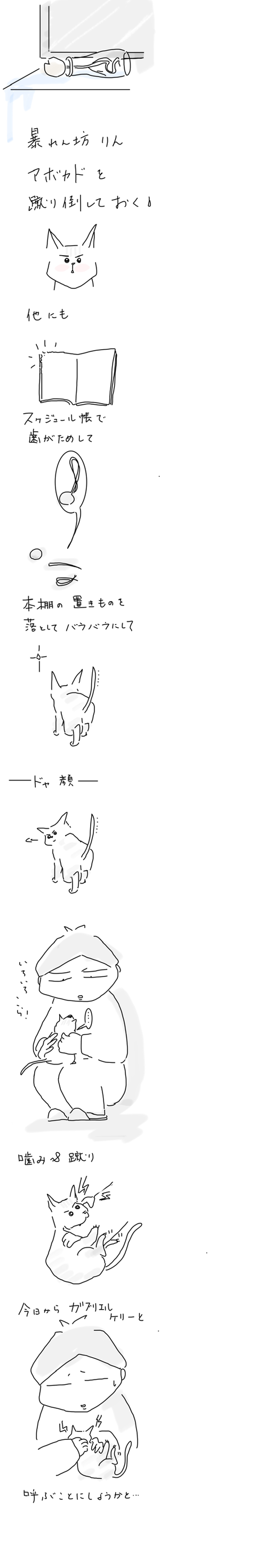 71C4E873-C101-4CB2-8E48-2097DC4D15F7