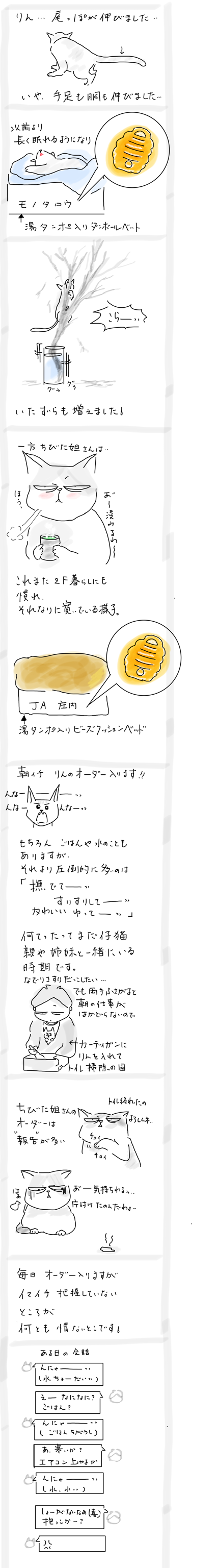 A8890821-41BD-422D-BD0E-1F994C1189A1