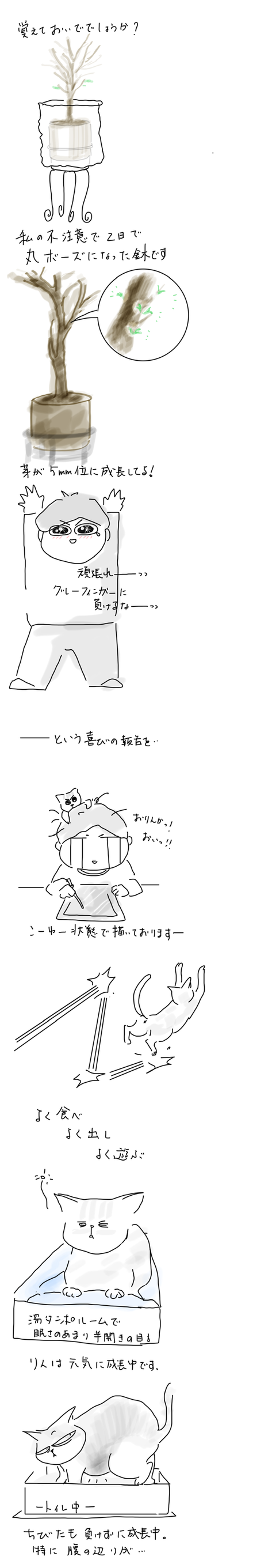 AA8B5A1E-8251-46BF-BA97-5B4D0BF39A1A