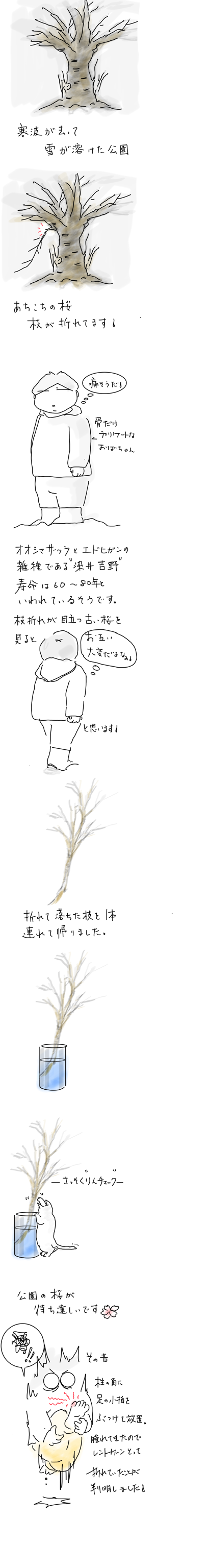 AEDDF987-535B-458D-AD85-03250804DBB6