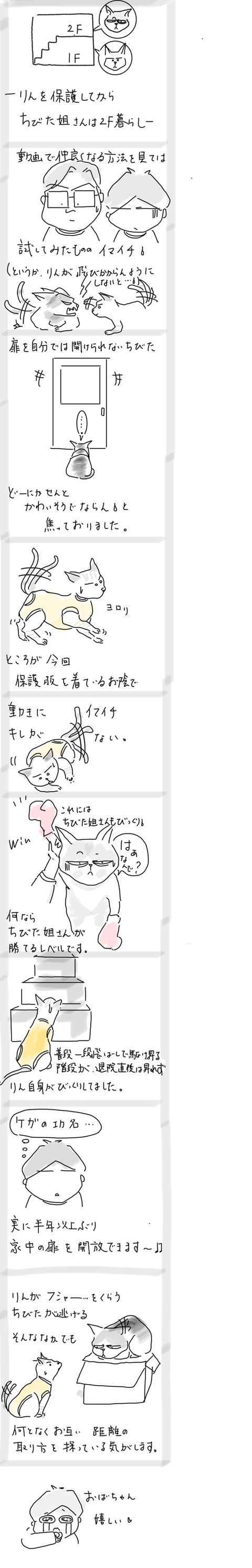 7851D971-A7DF-45E0-8308-57D07215DF1A