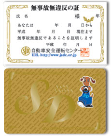 card_sd