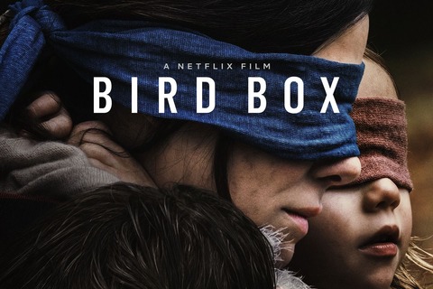 birdbox