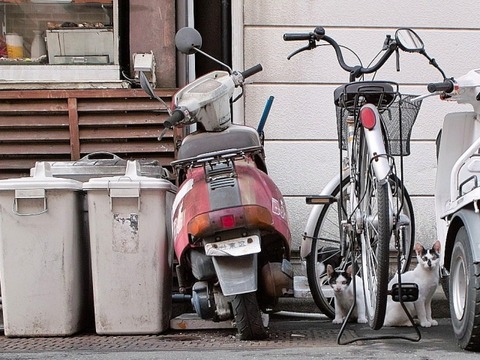 a7ad46162e1052ac67424633053356a5_s