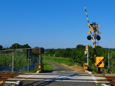 誰も守ってない交通法規 「踏切で窓開ける」「乗車前点検」「横断歩道で歩行者がいたら止まる」