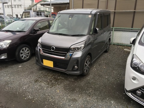 24105266_s
