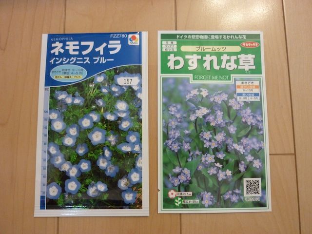 種 買いました 地植え断念 ドラゴンズブラッド 庭日記 Ver 2 0 種 買いました 地植え断念 ドラゴンズブラッド 庭日記 Ver 2 0