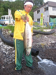 2010/8/20鮭釣り