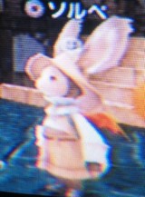 ソルベ