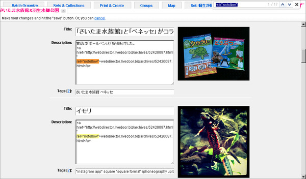 Flickrでまとめて修正06