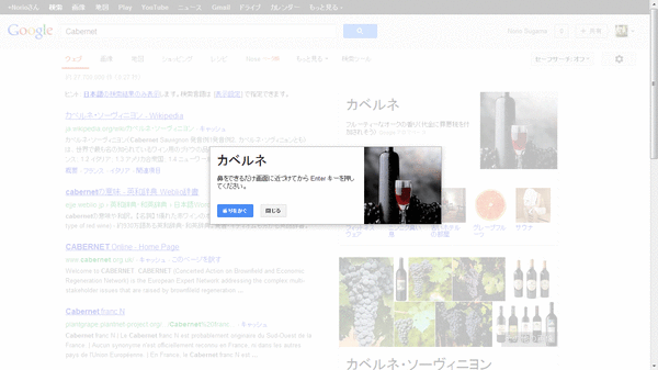 GoogleNose02