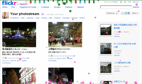 Flickrにも雪が降る02