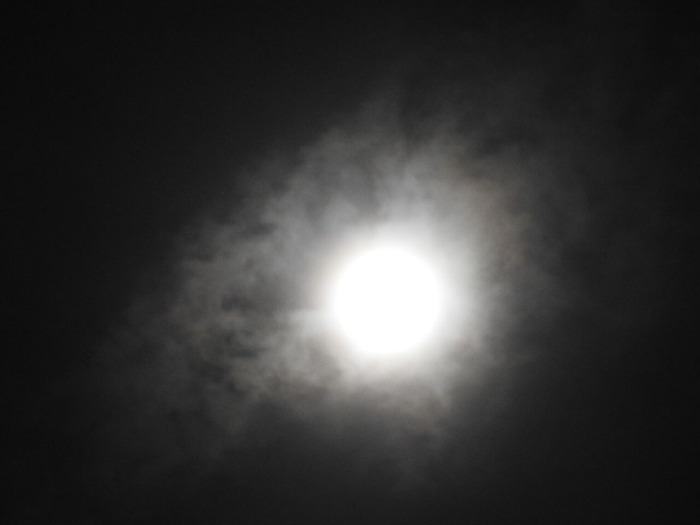 DSCN9495