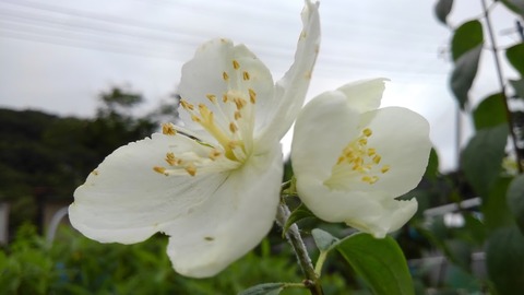 KIMG0693