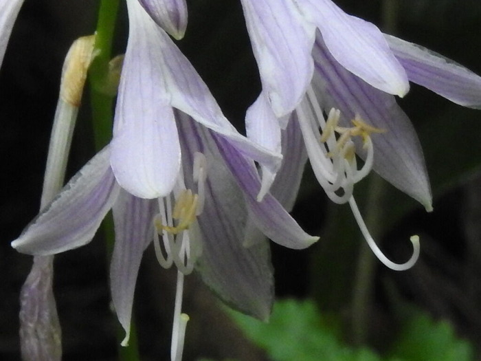 RSCN6322