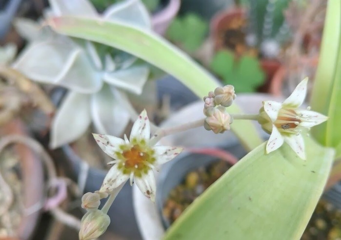 original_ad3bcf65-cc07-44d3-aceb-63a4322dca05_DSC_1103