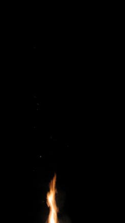 イメージ 8