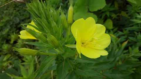 KIMG0654