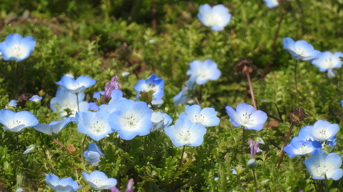 DSCN0597