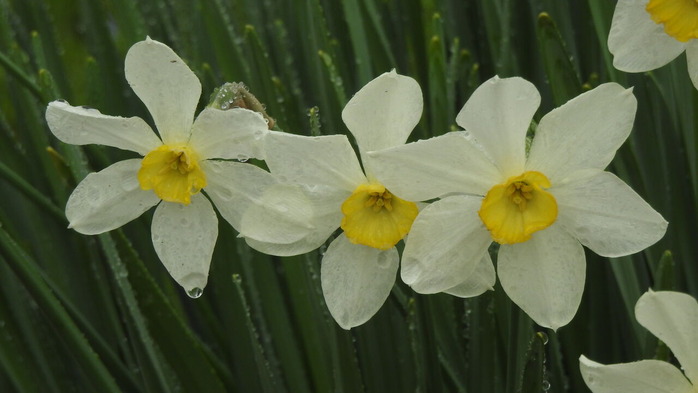 DSCN3597