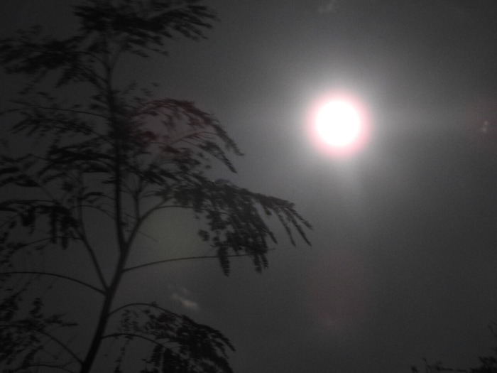 DSCN9488