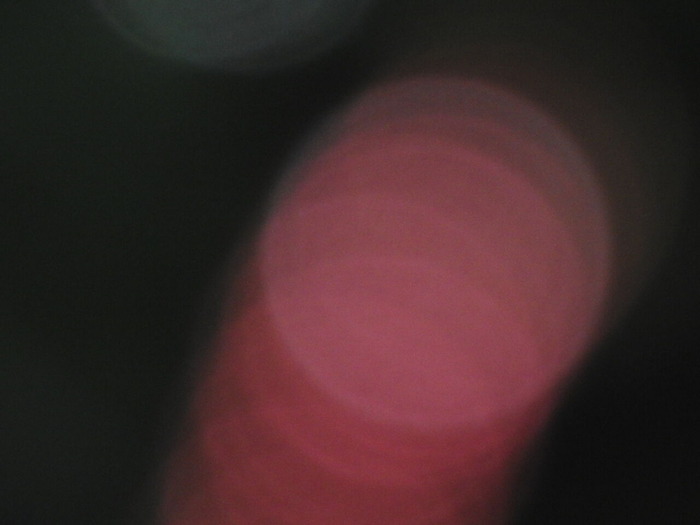 DSCN7429