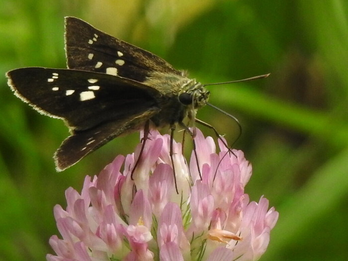 RSCN6194