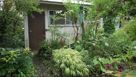 KIMG0637