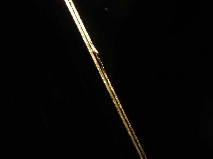DSCN4874