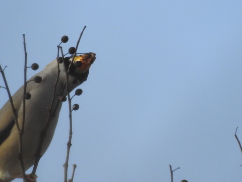 DSCN2811