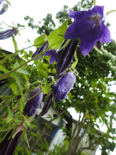 DSCN8180