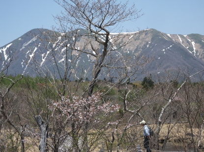 イメージ 6