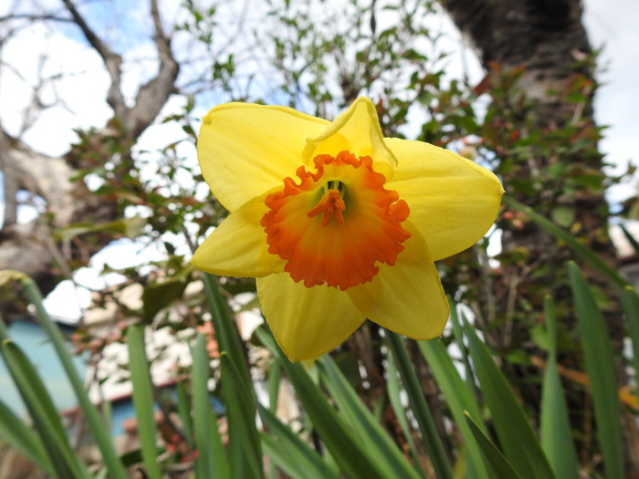 DSCN3383
