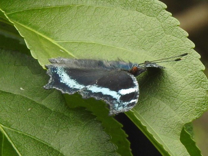 RSCN9470