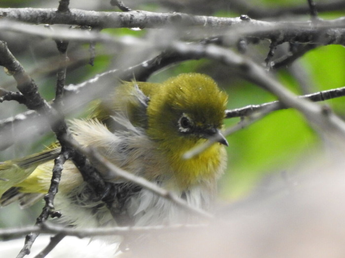 DSCN8430