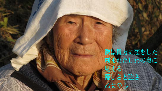 イメージ 4
