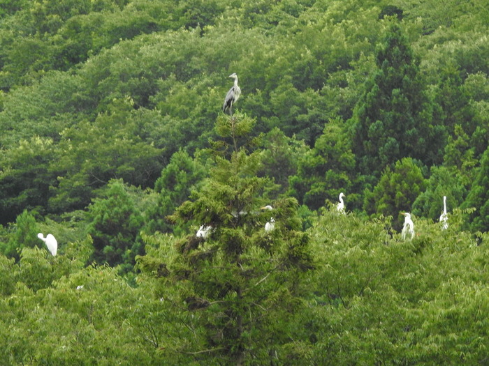 DSCN5726