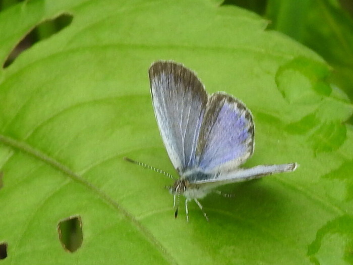 RSCN7819