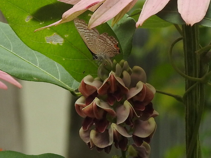 RSCN5760