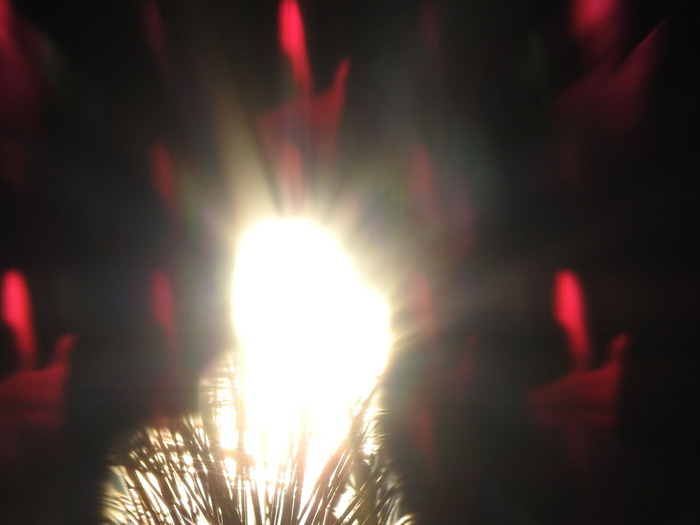 DSCN8660