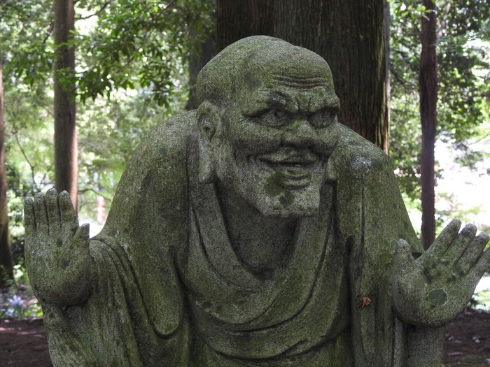 DSCN7029