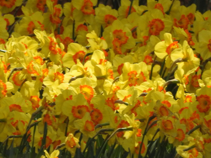 DSCN3806