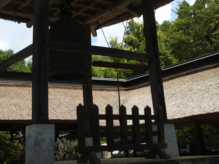 DSCN7050