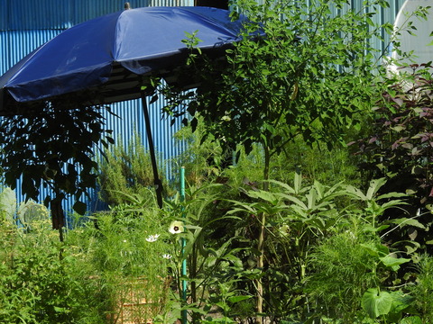 DSCN5376